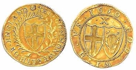 Double Crown